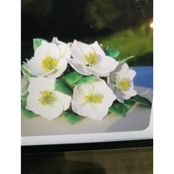 Photo for notice Ivan John DEXTER