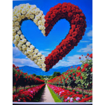 Photo for notice Ivan John DEXTER