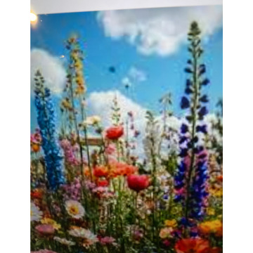 Photo for notice Ivan John DEXTER