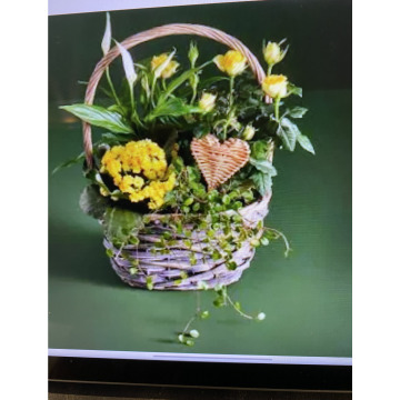 Photo for notice Ivan John DEXTER