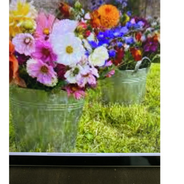 Photo for notice Ivan John DEXTER