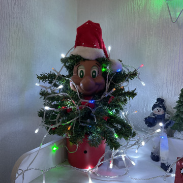 Notice Gallery for Margaret BLAKEY