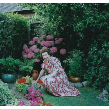 Photo of Pat BASSETT