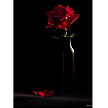 Notice Gallery for Robert Harpo WOODS