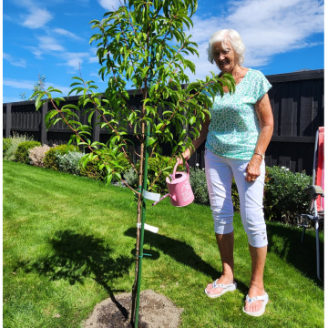 Photo of Lorraine SHEARD