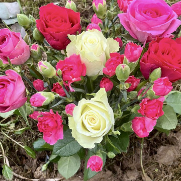 Tribute photo for Beryl Alvine TABOR