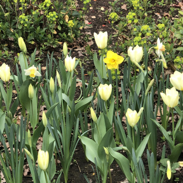 Tribute photo for Beryl Alvine TABOR