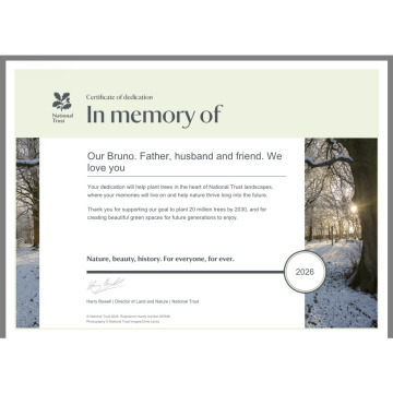 Photo for notice BRUNO BRUNOSKI