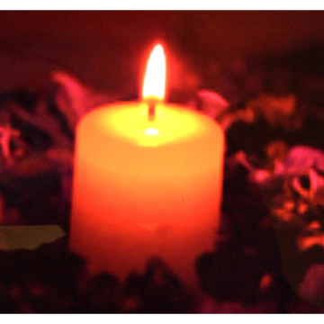 Notice Gallery for Eric NASH