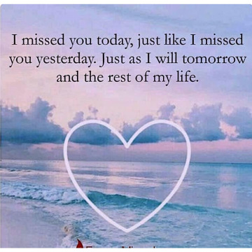 Notice Gallery for Peter STEENHOFF