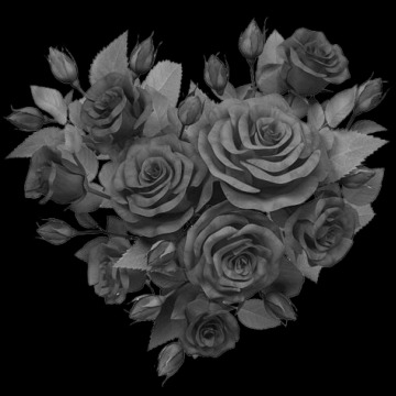 Photo for notice Albert Edward KNOWLES