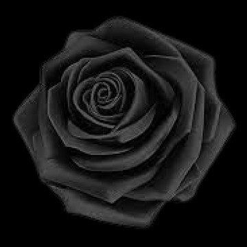 Photo for notice Albert Edward KNOWLES