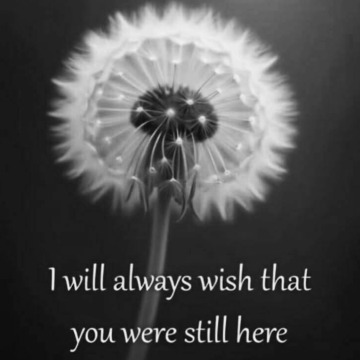 Photo for notice Albert Edward KNOWLES