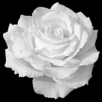 Photo for notice Albert Edward KNOWLES