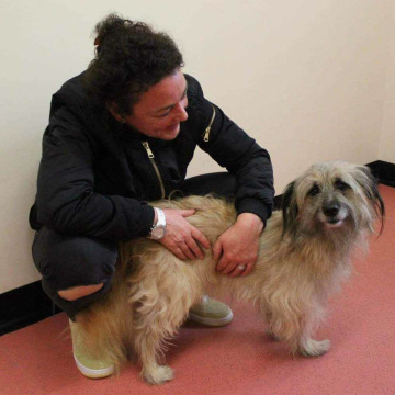 Notice Gallery for Amanda (Mandy) BEDSON