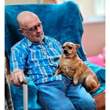 Notice Gallery for Alfred George Arthur EDWARDS