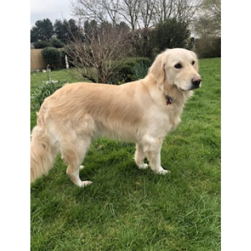 Notice Gallery for Roy HARNESS