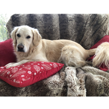 Photo for notice Roy HARNESS