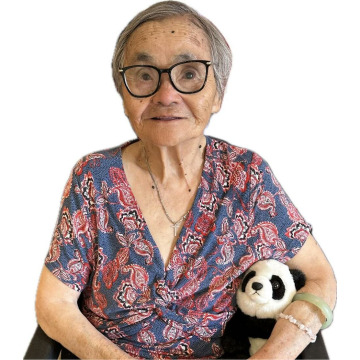 Photo of Ying LAI