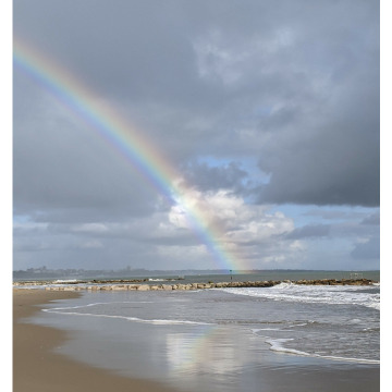 Photo of Julie DEASON