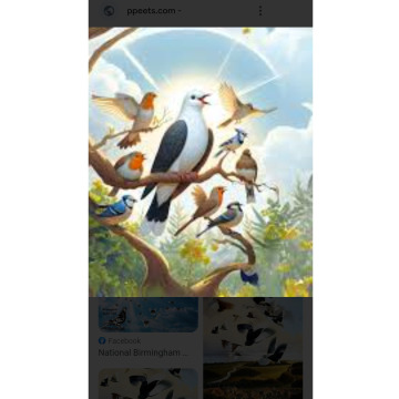 Notice Gallery for Michael John ROBSON