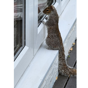 Photo for notice Jeremy BAILEY