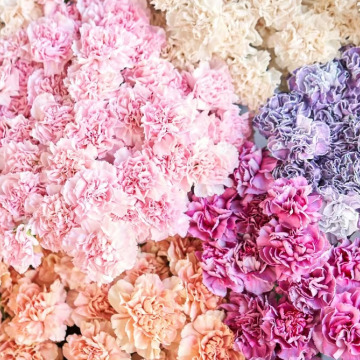 Notice Gallery for Barbara EDWARDS