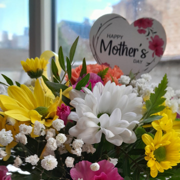 Photo for notice Val COSTELLO