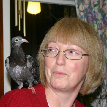 Tribute photo for Linda OLLIER