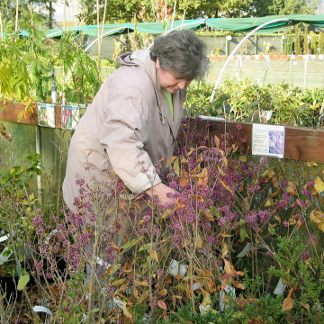 Notice Gallery for Margaret Ann BEASTALL