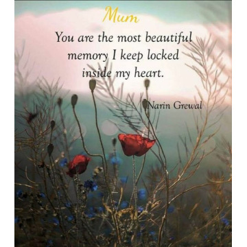 Notice Gallery for Anne CRAWFORD