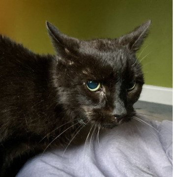 Photo for notice Roger HOPKINS BURKE