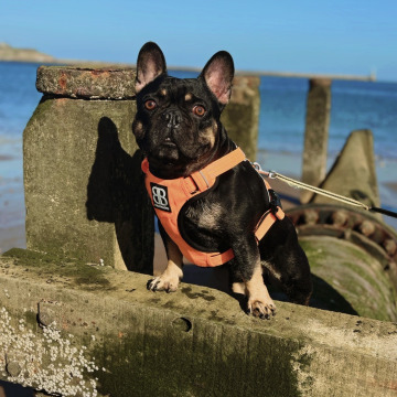 Photo for notice Stanley PARKIN