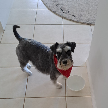 Notice Gallery for Neil Lawrence BARNES