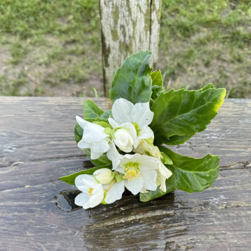 Notice Gallery for Richard David WHITAKER