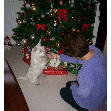 Notice Gallery for Peter Leslie JOHNSON