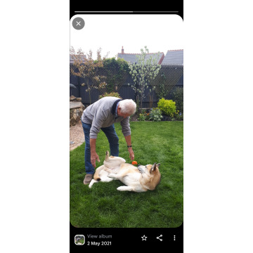 Notice Gallery for Peter Leslie JOHNSON