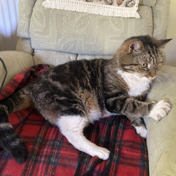 Photo for notice Margaret Joy BIRD