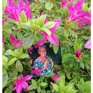 Photo for notice Patricia Sarah DOYLE