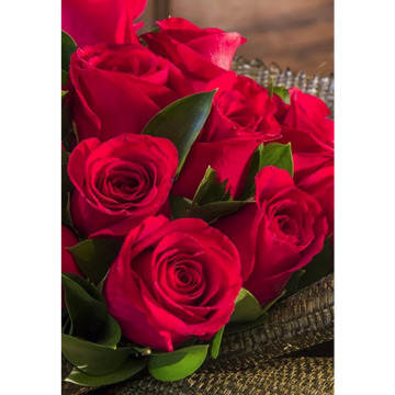 Notice Gallery for Olive CARTER