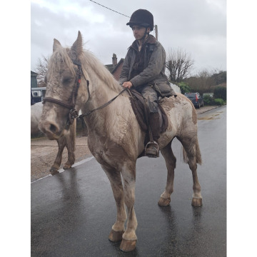 Photo for notice Bingham GERALD IVAN