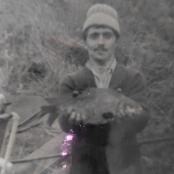 Notice Gallery for Patrick MCQUILLAN