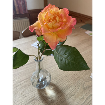 Notice Gallery for Vernon Albert JEFFERY