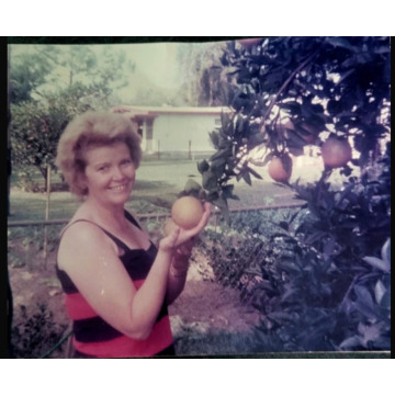 Photo of Lorna Mary CARTER