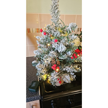 Photo for notice Andrew Sean DOYLE