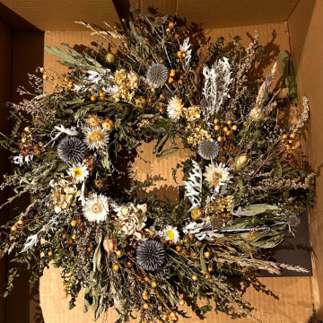 Photo for notice Robert FORSTER