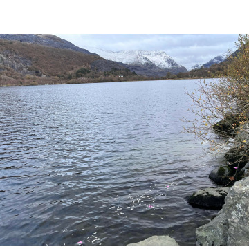 Photo for notice Valerie O'DELL