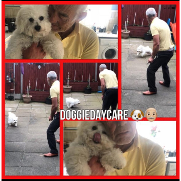 Photo for notice Conrad MCCARROLL