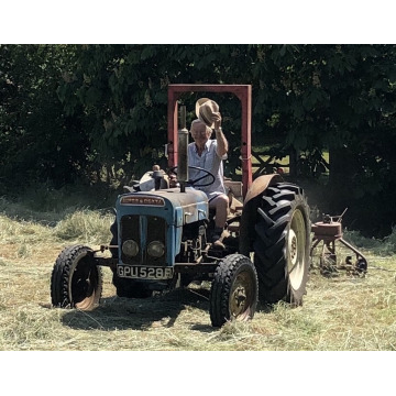 Photo of Donald METSON