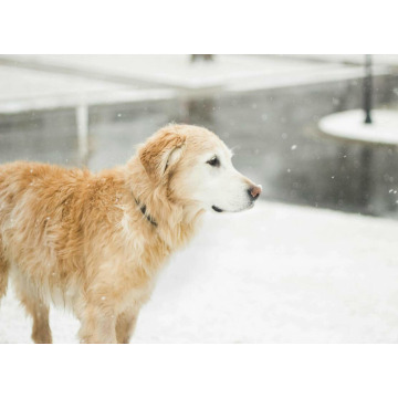 Photo of Pat And Peggy HUTCHINS
